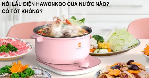 Nồi lẩu điện Hawonkoo của nước nào? Có tốt không?